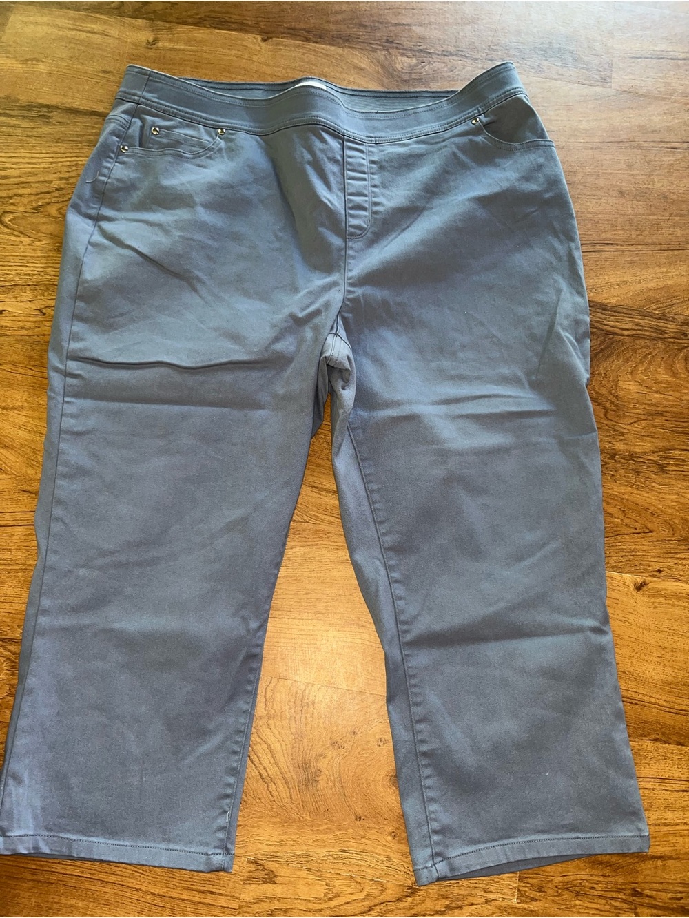 Kim Rogers Blue Capri Pants Shorts Women 18W